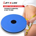 Full Body Twister Disc